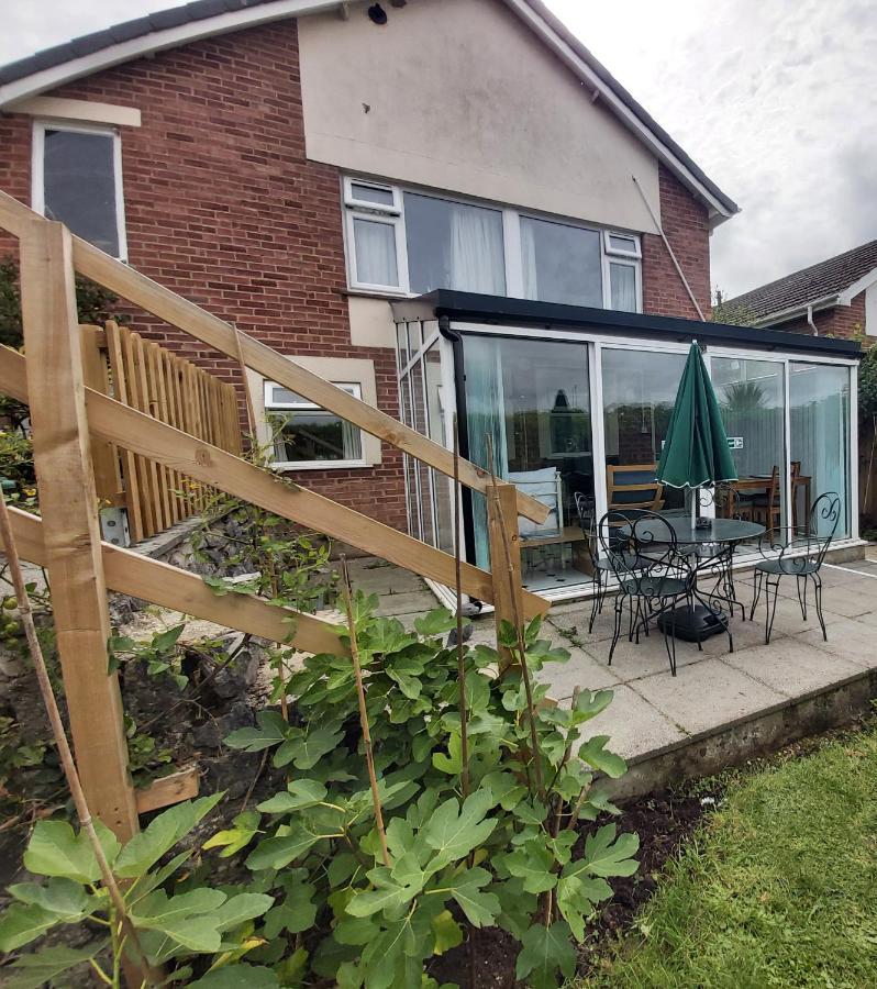 Garden Apartment Newton Abbot Exteriör bild